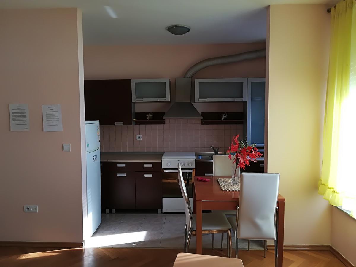 Guesthouse Sava Slavonski Brod Exterior photo