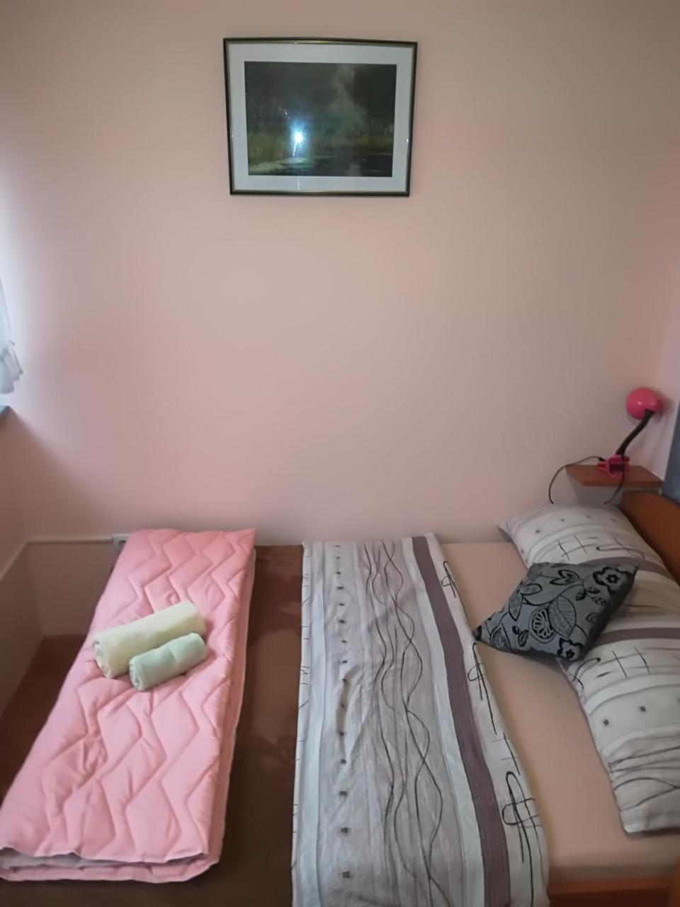Guesthouse Sava Slavonski Brod Exterior photo